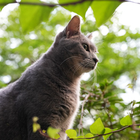 作例アリ SIGMA 28-45mm F1.8 DG DN Art Eマウント用 SIGMA 28-45mm F1.8 DG DN | Art【ソニーEマウント】 | 【公式