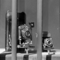 NIKON(ニコン)のフィルムカメラFM3A で撮影した写真(画像)一覧- 写真