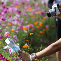 CANON(キヤノン)のレンズ EF75-300mm F4-5.6 III USM で撮影した