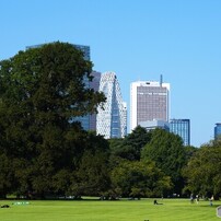 秋の新宿御苑