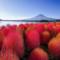 TAMRON(タムロン)のレンズ SP AF 10-24mm F/3.5-4.5 Di II LD