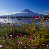 TAMRON(タムロン)のレンズ SP AF 10-24mm F/3.5-4.5 Di II LD