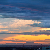 NIKON(ニコン)のレンズ Ai AF Micro Nikkor 105mm F2.8D で撮影した