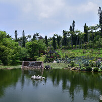 美らヤシパークオキナワ・東南植物楽園