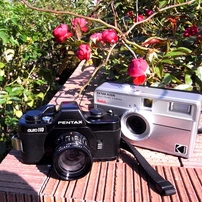 RICOH(リコー)のデジタルカメラRICOH GX200 で撮影した写真(画像)一覧