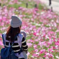 秋の散歩道 by Falfa （ID：12681234） - 写真共有サイト:PHOTOHITO
