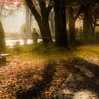 TAMRON(タムロン)のレンズ SP AF 28-75mm F/2.8 XR Di LD Aspherical [IF] MACRO (Model  A09) (ｷﾔﾉﾝ用) で撮影した写真(画像)一覧- 写真共有サイト:PHOTOHITO