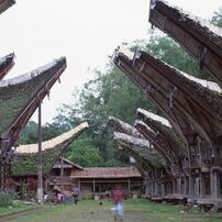 スラウェシ島トラジャ地方