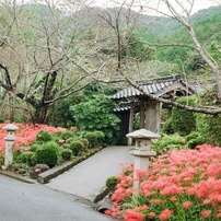 NIKON(ニコン)のフィルムカメラNikomat FTN で撮影した写真(画像)一覧