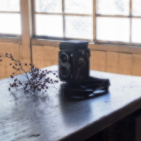 RICOH(リコー)のデジタル一眼GXR で撮影した写真(画像)一覧- 写真共有