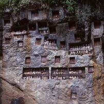 スラウェシ島トラジャ地方