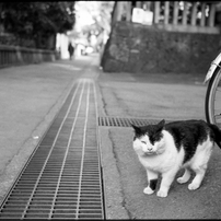 NIKON(ニコン)のレンズ Ai Nikkor 35mm F2S で撮影した写真(画像)一覧