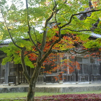 TAMRON(タムロン)のレンズ AF 18-200mm F/3.5-6.3 XR Di II LD