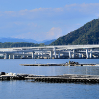 NIKON(ニコン)のレンズ Ai AF-S Zoom Nikkor ED 80-200mm F2.8D(IF