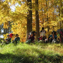 CANON(キヤノン)のデジタルカメラPowerShot SX710 HS で撮影した写真