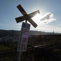 RICOH(リコー)のデジタルカメラGXR S10 で撮影した写真(画像)一覧