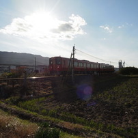 【作例あり】RICOH GXR＋S10キット リコー GXR S10 作例 - PhotoXP