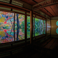 SAMYANG(サムヤン)のレンズ 8mm F3.5 FISH-EYE LENS [キヤノン用] で