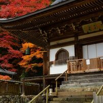 TAMRON(タムロン)のレンズ SP AF 17-50mm F/2.8 XR Di II LD