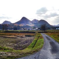 Sunny Side Of A Town: 大沢田