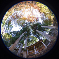 SIGMA(シグマ)のレンズ 4.5mm F2.8 EX DC CIRCULAR FISHEYE HSM