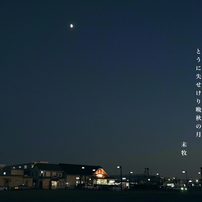 句歌画集31：2024 秋編３