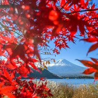 NIKON(ニコン)のレンズ Ai AF Nikkor 28mm F1.4D で撮影した写真(画像