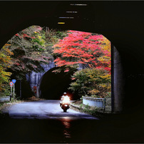 秋の情景