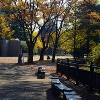 Sunny Side Of A Town: West Park