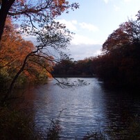 KODAK(コダック)のデジタルカメラDC4800 Zoom で撮影した写真