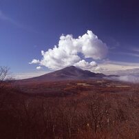 PENTAX(ペンタックス)のレンズ SMC PENTAX67 45mmF4 で撮影した写真