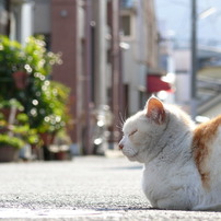 春の日差し