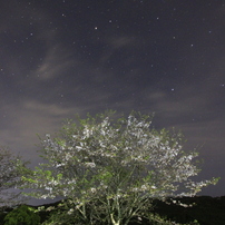 SIGMA(シグマ)のレンズ 10-20mm F3.5 EX DC HSM (キヤノン用) で撮影