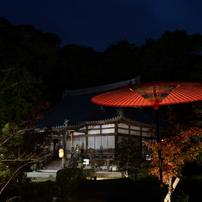SONY(ソニー)のレンズ 28-75mm F2.8 SAM SAL2875 で撮影した写真