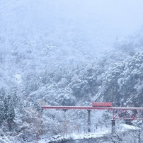 NIKON(ニコン)のレンズ AF-S DX VR Zoom-Nikkor 18-200mm f/3.5