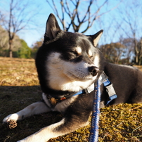 作例有り M.ZUIKO DIGITAL ED 12mm F2.0 M.ZUIKO DIGITAL ED 12mm F2.0で撮影された写真 | 写真検索 | GANREF