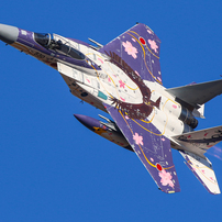 CANON(キヤノン)のレンズ EF500mm F4.5L USM で撮影した写真(画像)一覧