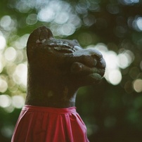 MINOLTA(ミノルタ)のフィルムカメラXD-S で撮影した写真(画像)一覧