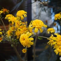 なかなか終わらない