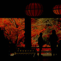 焼*肉様 ✨NIKON ニコン AF-S 24-120mm f3.5-5.6G AF-S VR Zoom-Nikkor 24-120mm f/3.5-5.6G IF-ED 中古価格比較 - 価格.com