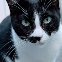 SONY(ソニー)のレンズ DT 30mm F2.8 Macro SAM SAL30M28 で撮影