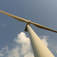 RICOH(リコー)のデジタルカメラCX1 で撮影した写真(画像)一覧(18ページ