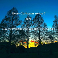 Merry Christmas !：NTW536