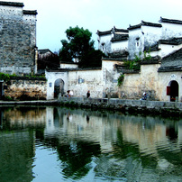 FUJIFILM(富士フイルム)のデジタルカメラFinePix F810 で撮影した写真