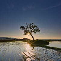 (良品)tokina atx-i 11-16mm F2.8 ニコン (作例添付) atx-i 11-16mm F2.8 CF | 大浦 タケシ | ケンコー・トキナー