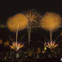 NIKON(ニコン)のレンズ Ai AF-S Zoom Nikkor ED 80-200mm F2.8D(IF