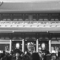OLYMPUS(オリンパス)のフィルムカメラPEN D で撮影した写真(画像)一覧