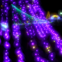 専用ページ　写真2から7枚目 専用 写真2-7枚目 【公式通販】