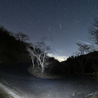 NIKON(ニコン)のレンズ AF DX Fisheye-Nikkor 10.5mm f/2.8G ED で撮影