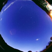 SAMYANG(サムヤン)のレンズ 8mm F3.5 UMC FISH-EYE CS II [キヤノン用